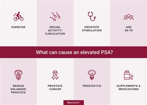 How To Prepare For A PSA Blood Test & What To Avoid .